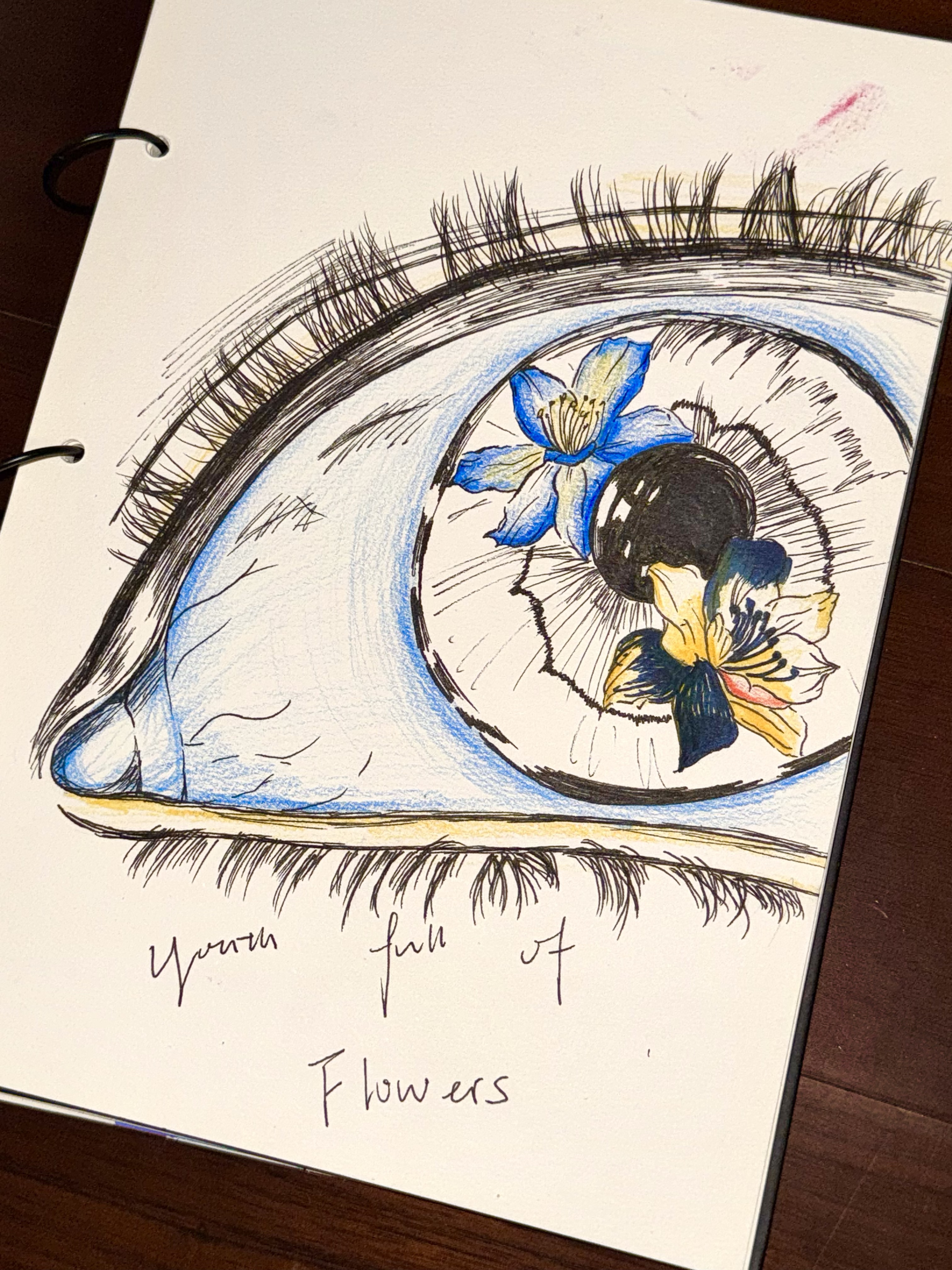 A Collection of Notebook Drawings