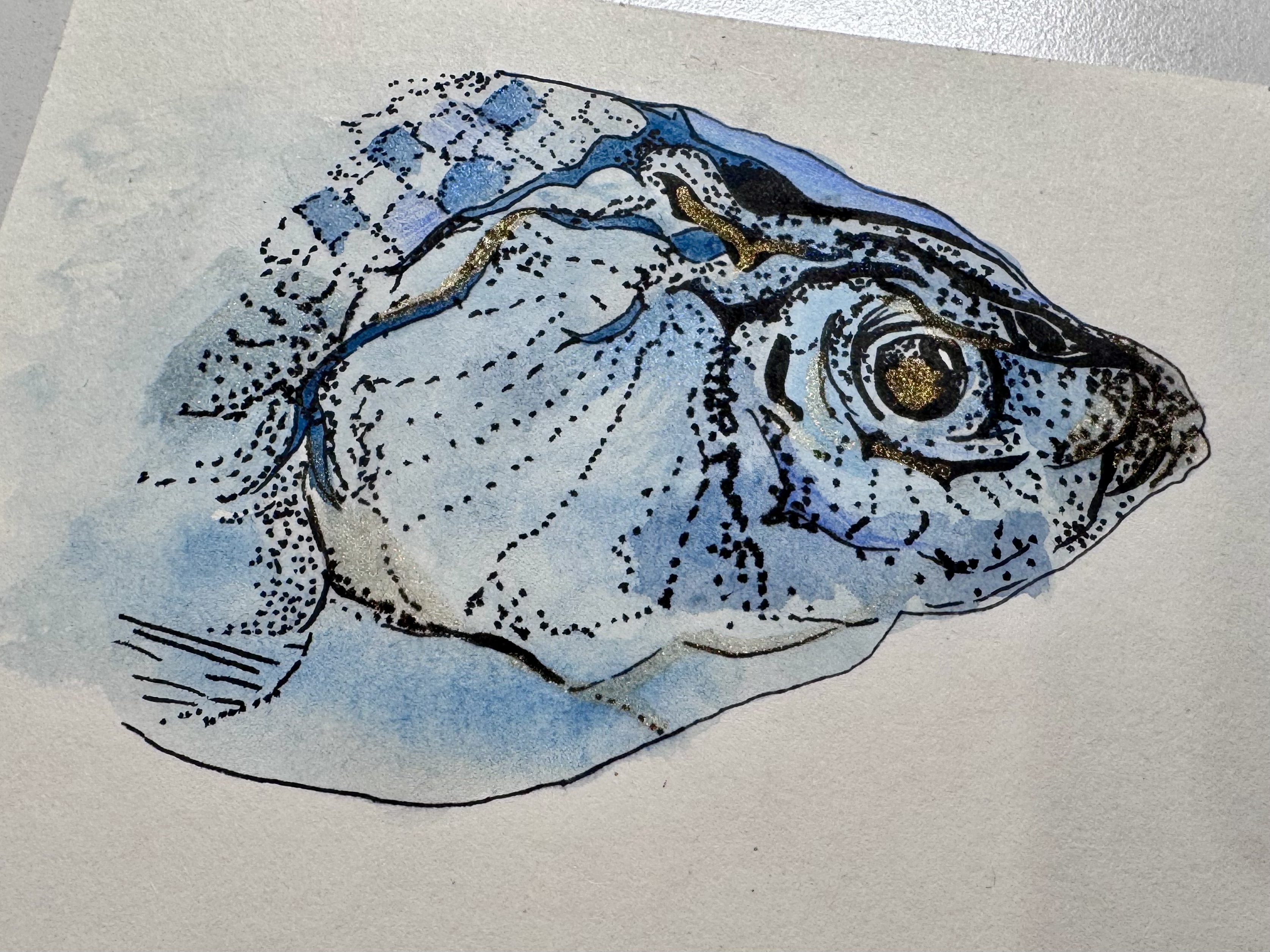 Drawings of Fish (Watercolor, Marker, and Pen)